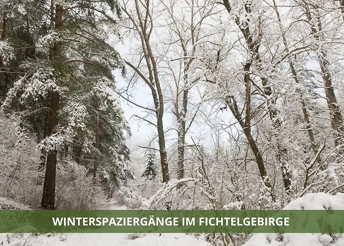 Ferienwohnung Fichtelsuite (2-6 Pers) nahe Ochsenkopf Süd (800m)